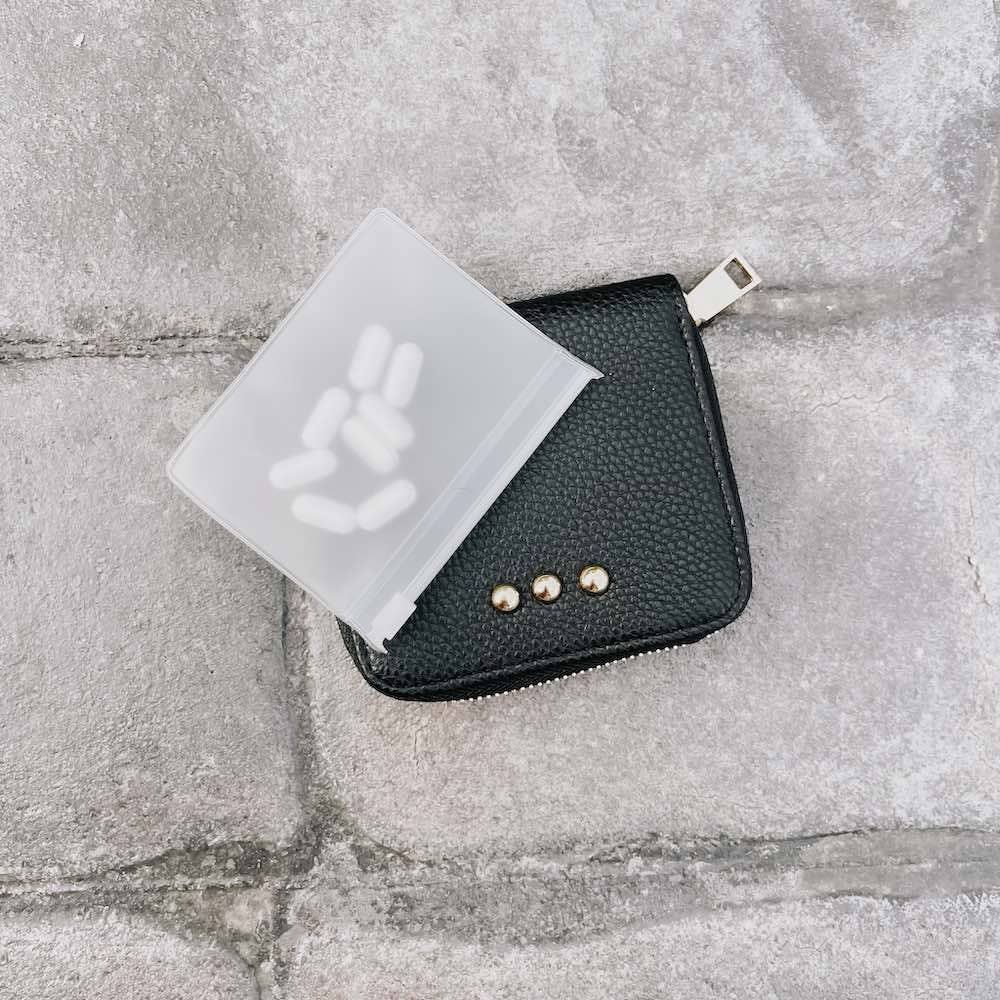 Wanderer Pouch Travel Organizer: Black